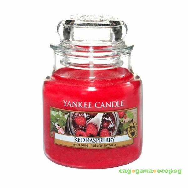 Фото Ароматическая свеча Yankee candle маленькая Красная малина 104 г