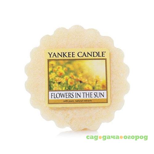 Фото Ароматическая свеча-тарталетка Yankee candle Цветы на солнце 22 г