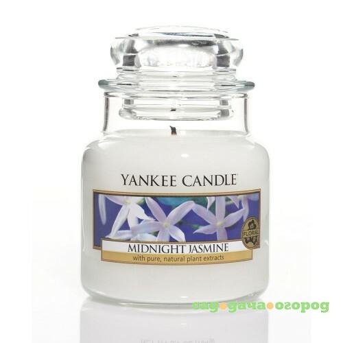 Фото Ароматическая свеча Yankee candle маленькая Полуночный жасмин 104 г