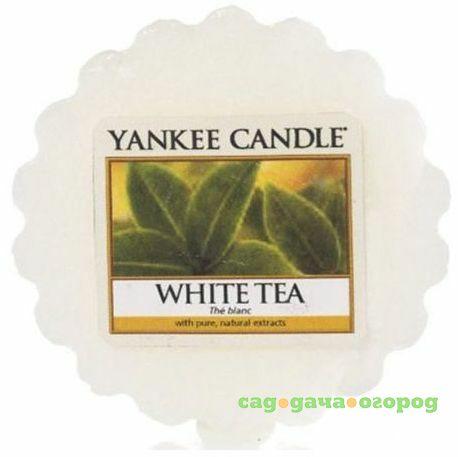 Фото Ароматическая свеча-тарталетка Yankee candle Белый чай 22 г