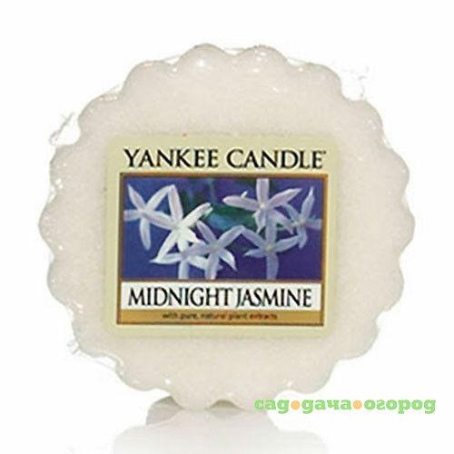 Фото Ароматическая свеча-тарталетка Yankee candle Полуночный жасмин 22 г