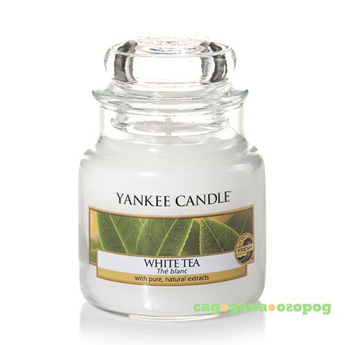 Фото Ароматическая свеча Yankee candle маленькая Белый чай 104 г