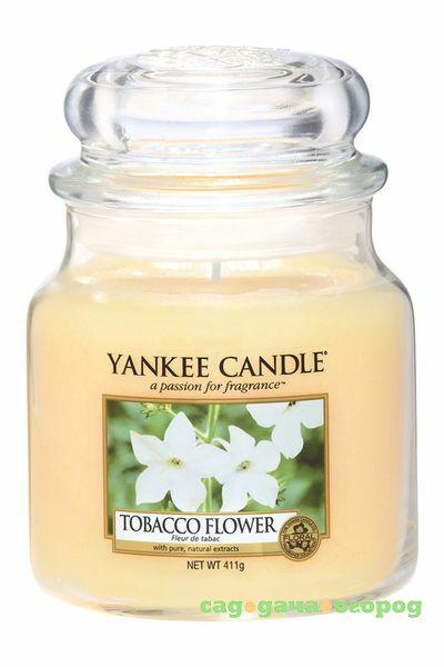 Фото Ароматическая свеча Yankee candle средняя Цветок табака 411 г