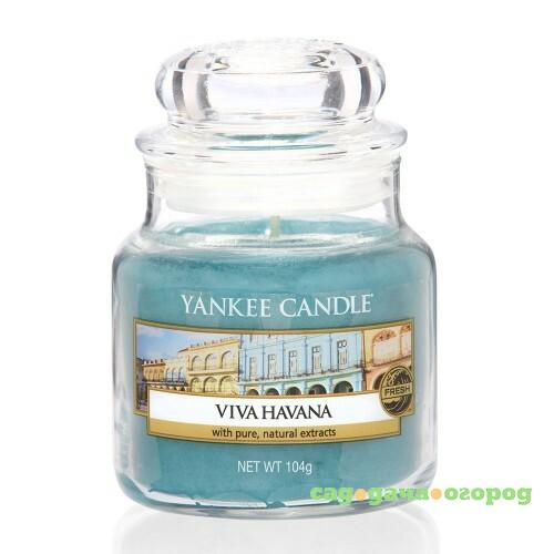 Фото Ароматическая свеча Yankee candle маленькая Да здравствует Гавана 104 г