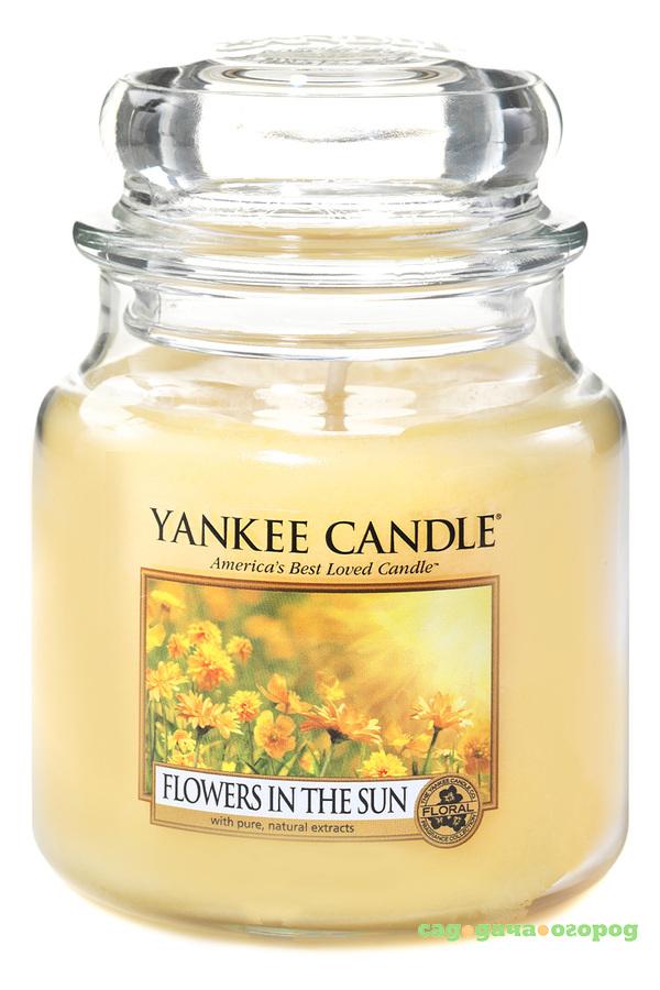 Фото Ароматическая свеча Yankee candle средняя Цветы на солнце 411 г