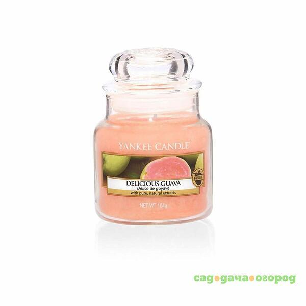 Фото Ароматическая свеча Yankee candle маленькая Ароматная гуава 104 г