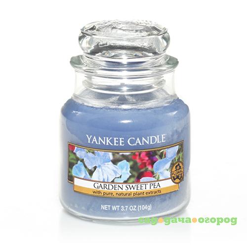 Фото Ароматическая свеча Yankee candle маленькая Садовый горошек 104 г