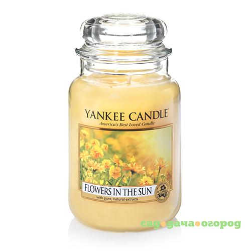 Фото Ароматическая свеча Yankee candle большая Цветы на солнце 623 г