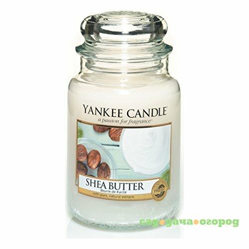 Фото Ароматическая свеча Yankee candle большая Масло ши 623 г