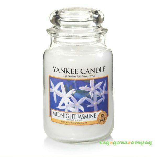 Фото Ароматическая свеча Yankee candle большая Полуночный жасмин 623 г