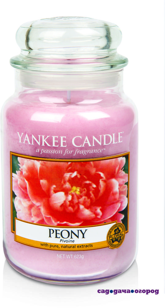 Фото Ароматическая свеча Yankee candle большая Пион 623 г