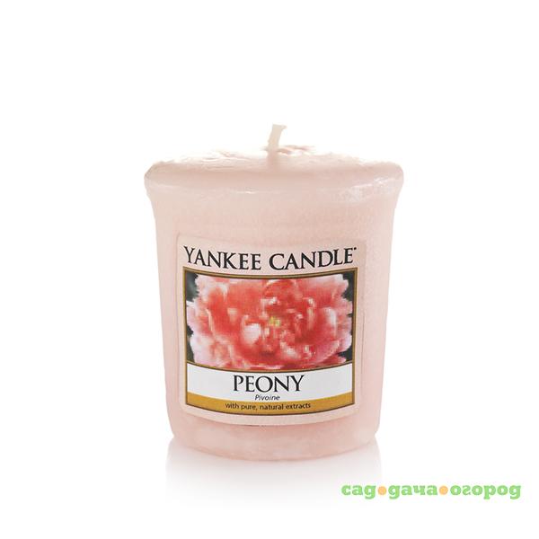 Фото Аромасвеча для подсвечника Yankee candle Пион 49 г