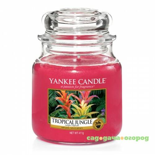 Фото Ароматическая свеча Yankee candle средняя Тропические джунгли 411 г