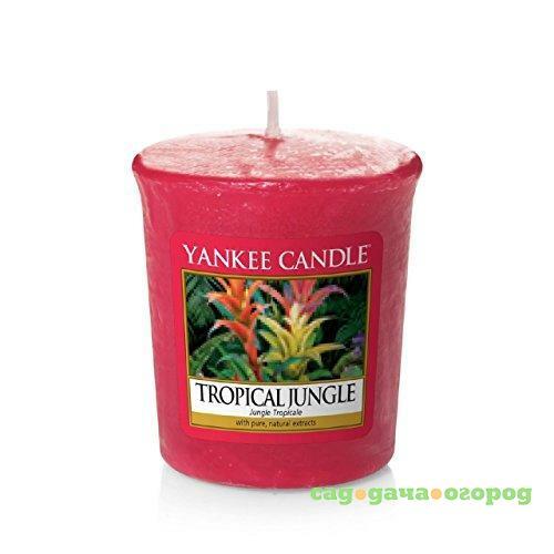 Фото Аромасвеча для подсвечника Yankee candle Тропические джунгли 49 г