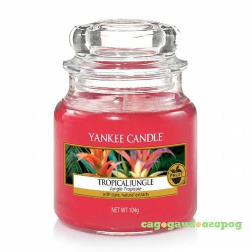 Фото Ароматическая свеча Yankee candle маленькая Тропические джунгли 104 г