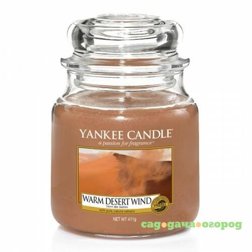 Фото Ароматическая свеча Yankee candle средняя Теплый ветер пустыни 411 г