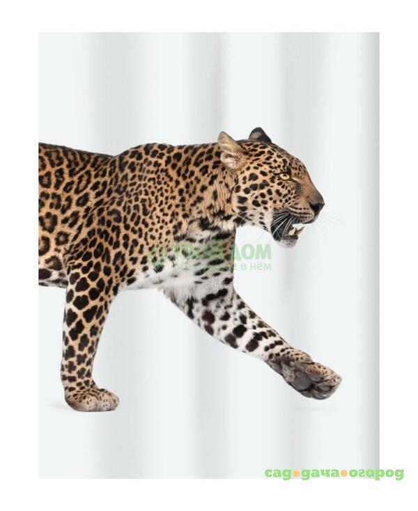 Фото Штора для ванной комнаты Spirella Leopard (1016405)