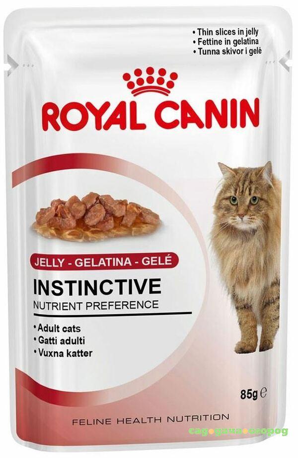 Фото Корм для кошек ROYAL CANIN Instinctive мясные кусочки в желе 85г