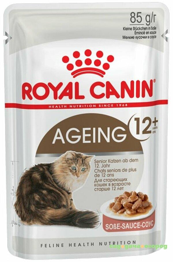 Фото Корм для кошек ROYAL CANIN Ageing +12, для кошек старше 12 лет, измельченные кусочки в соусе, 85г