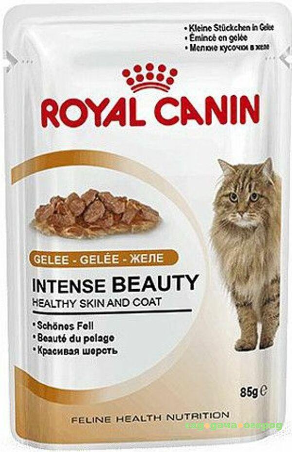 Фото Корм для кошек ROYAL CANIN Intense Beauty мясо и рыба в желе 85г