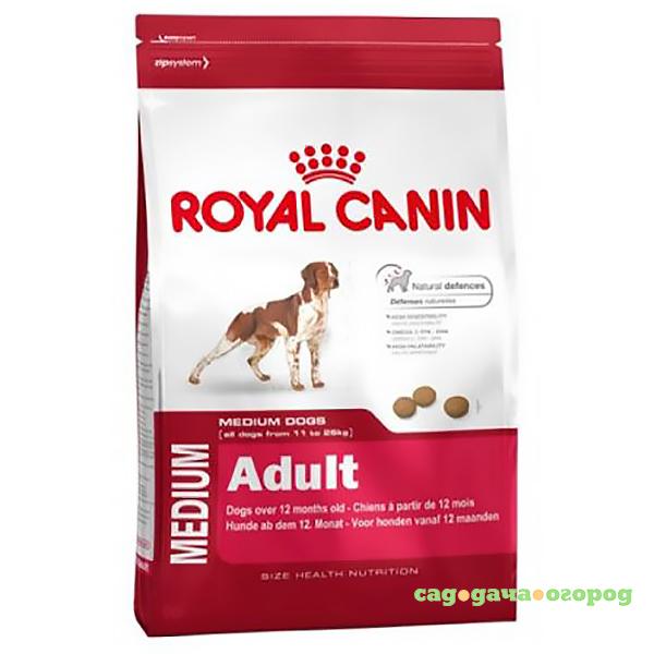 Фото Корм для собак Royal Canin Size Medium Adult для средних пород от 12 месяцев до 7 лет, птица 4 кг