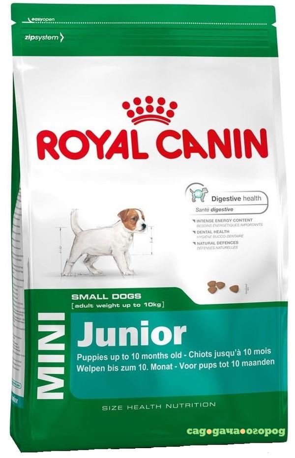 Фото Корм для щенков Royal Canin JUNIOR для мелких пород, с 2 до 10 месяцев, 2 кг