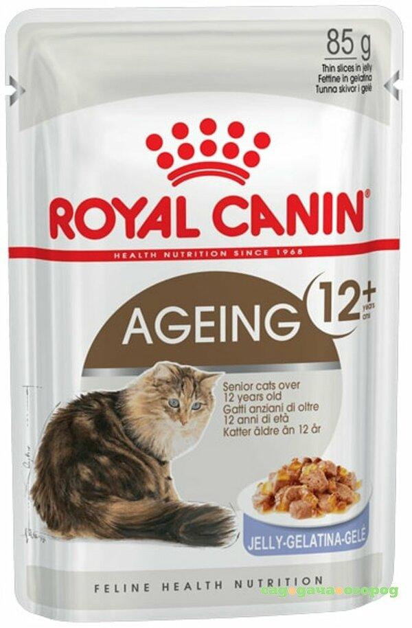 Фото Корм для кошек ROYAL CANIN Ageing +12 для кошек старше 12 лет, мелкие кусочки в желе, 85г