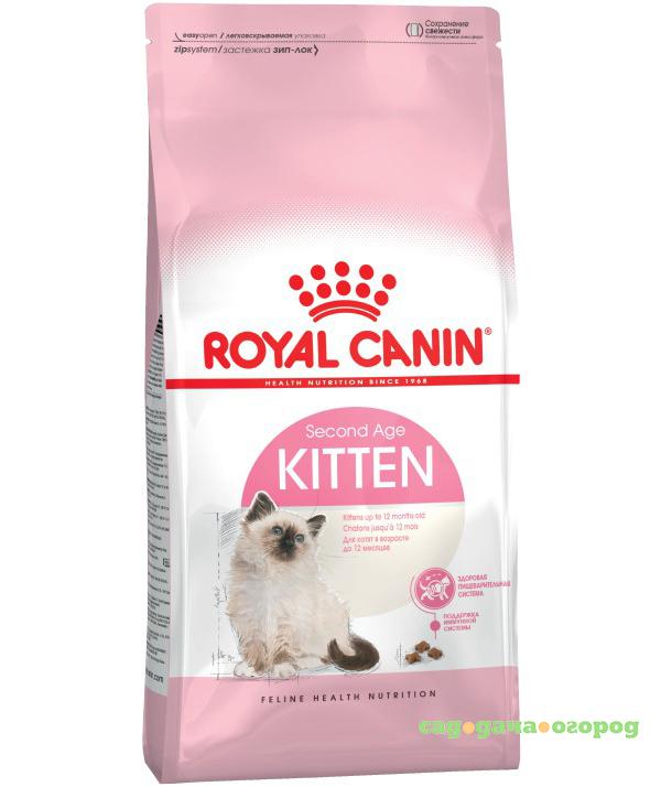 Фото Корм для кошек ROYAL CANIN Kitten для котят в возрасте от 4 до 12 месяцев, 2 кг