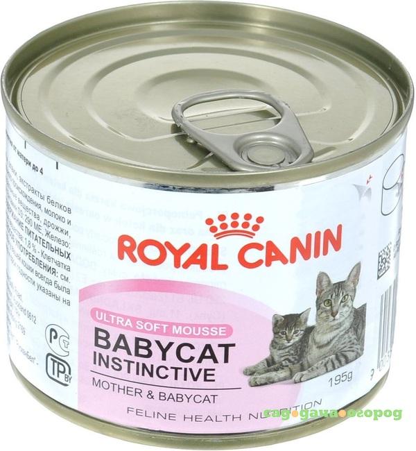 Фото Корм для кошек ROYAL CANIN BabyCat Instincti 195г