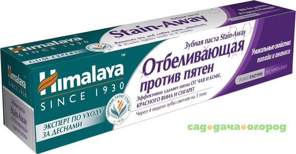 Фото Зубная паста Himalaya Herbals Stain-Away Отбеливающая против пятен 75 мл