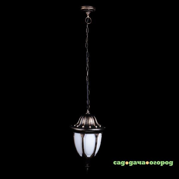 Фото Уличный Amber Lamp 8105L