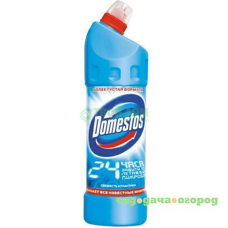 Фото Чистящее средство Domestos Свежесть Атлантики 1 л