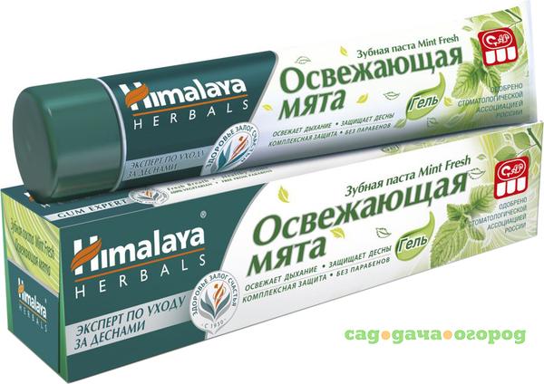 Фото Зубная паста Himalaya Herbals Mint Fresh Освежающая Мята 75 мл