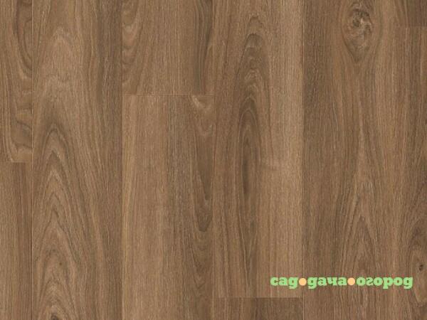 Фото Ламинат Maxwood ClixFloor Plus Дуб Кофейный CXP087