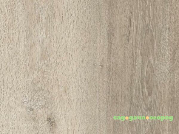 Фото Ламинат Maxwood ClixFloor Plus Дуб Отборный бежевый CXP090