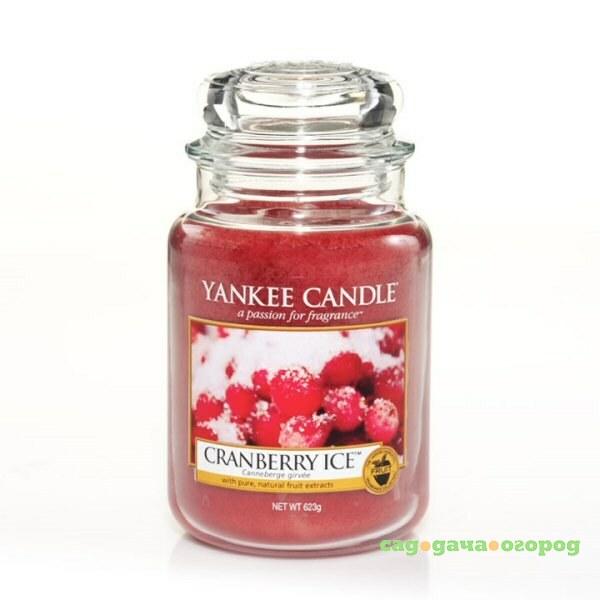 Фото Аромасвеча в банке бол.клюква и лёд Yankee candle 1244595e