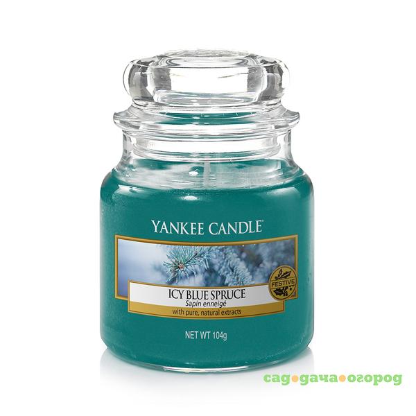 Фото Ароматическая свеча Yankee candle маленькая Заснеженная ель 104 г