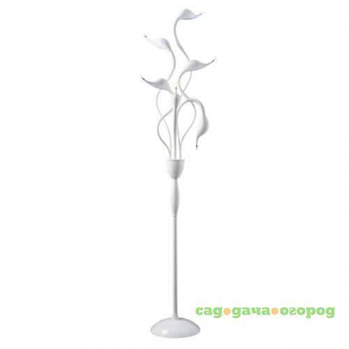 Фото Торшер Lightstar Cigno Collo Wt 751766