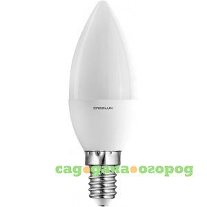 Фото Светодиодная лампа свеча ergolux led-c35-7w-e14-4k 7вт e14 4500k 172-265в 12135