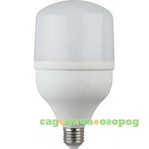 Фото Светодиодная лампа эра led smd power 20w-6500-e27 б0027011