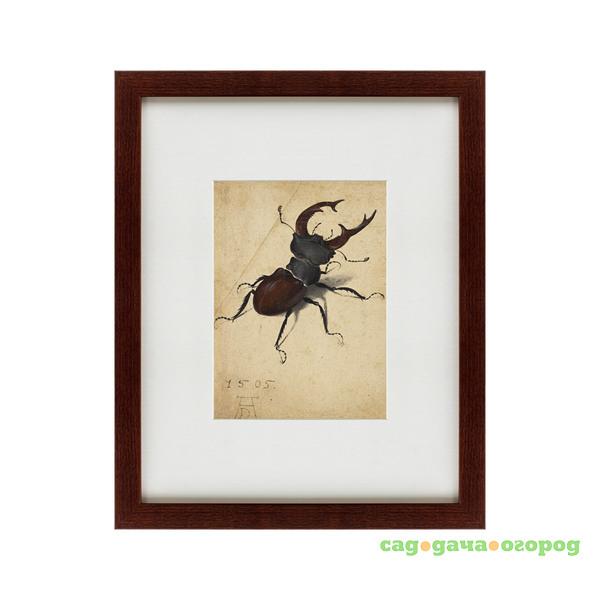 Фото Картина Stag Beetle (42х52 см)