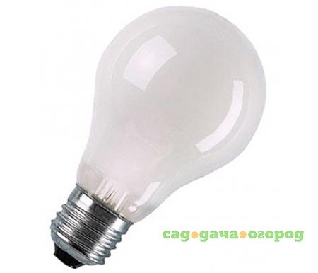 Фото накаливания OSRAM A55 40W 230V E27 матовая