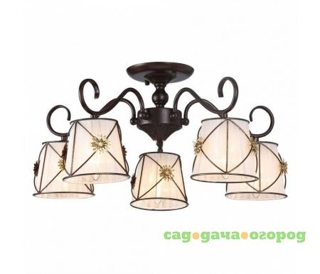 Фото Arte Lamp 72 A5495PL-5BR