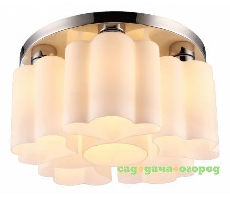 Фото Arte Lamp 17 A3489PL-6CC