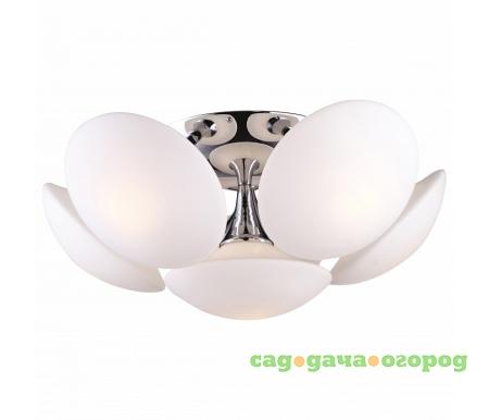 Фото Arte Lamp Soffione A2550PL-6CC