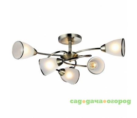 Фото Arte Lamp 3 A6059PL-6AB