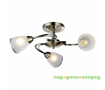 Фото Arte Lamp 3 A6056PL-3AB