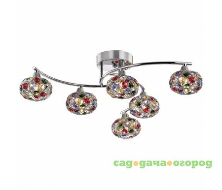 Фото Crea Color 2598/6C