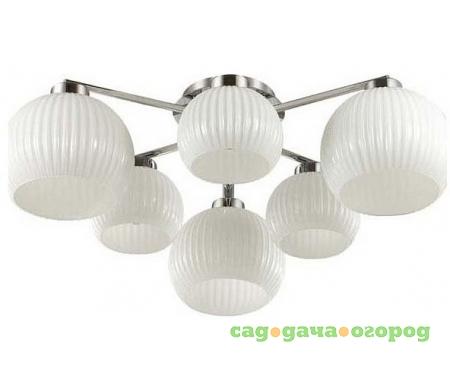 Фото Micca 3971/6C