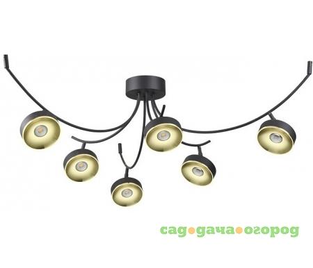 Фото Fineca 3812/42CL